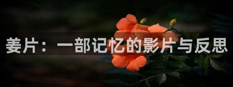 秋霞影院入口：姜片：一部记忆的影片与反思