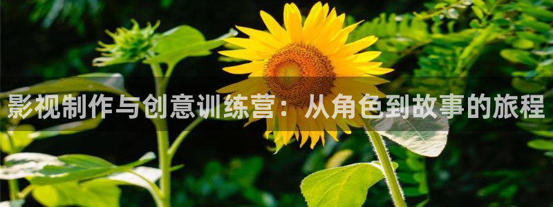 秋霞电影久久：影视制作与创意训练营：从角色到故事的旅程