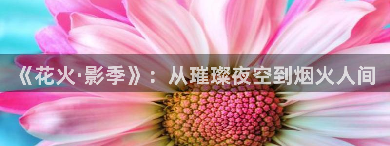 秋霞伦理影视大全：《花火·影季》：从璀璨夜空到烟火人间