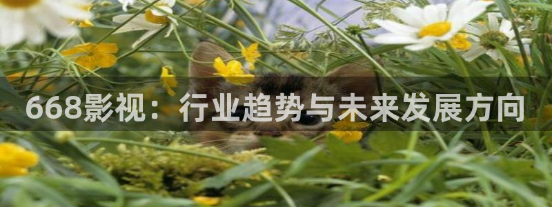 秋霞电影网一区二区三区：668影视：行业趋势与未来发展方向