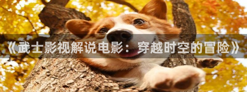 光棍影院秋霞网：《武士影视解说电影：穿越时空的冒险》