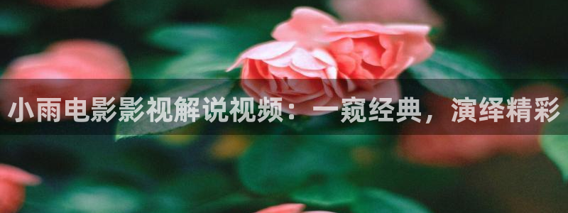 秋霞电影网最新：小雨电影影视解说视频：一窥经典，演绎精彩