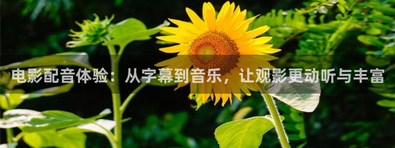 神马不卡影院秋霞影院