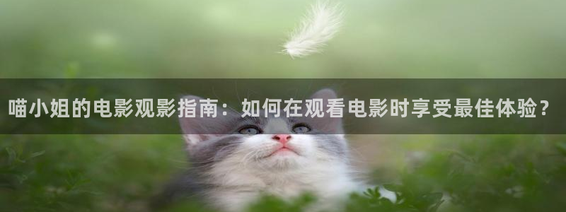 秋霞无吗电影：喵小姐的电影观影指南：如何在观看电影时享受最佳体验？