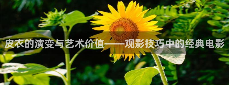 秋霞电影黄色一级片：皮衣的演变与艺术价值——观影技巧中的经典电影