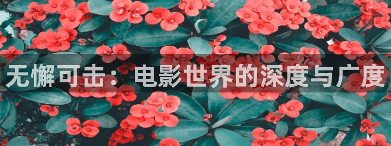 韩国电影伦理片秋霞网：无懈可击：电影世界的深度与广度