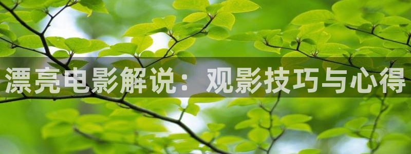 秋霞成人午夜在线：漂亮电影解说：观影技巧与心得