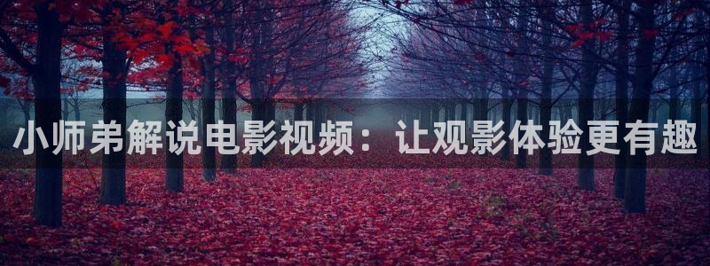 秋霞三级影院：小师弟解说电影视频：让观影体验更有趣