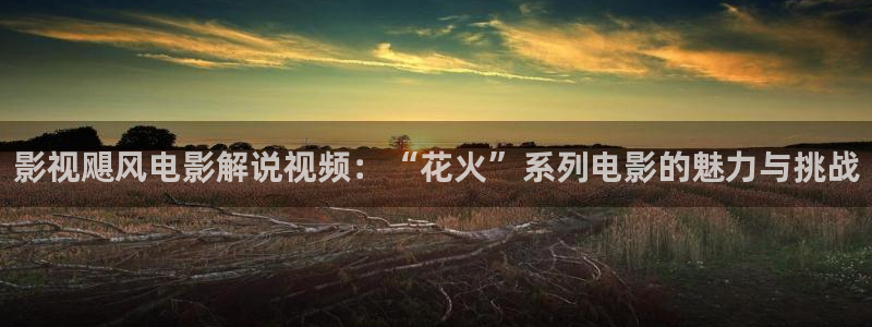 秋霞最新网：影视飓风电影解说视频：“花火”系列电影的魅力与挑战