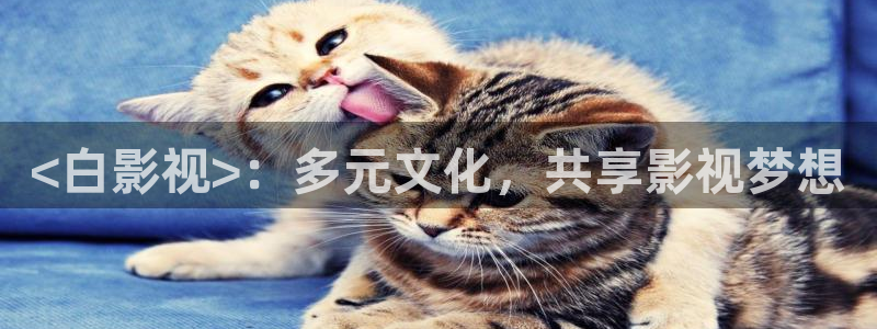 秋霞网韩国理伦片免费看：<白影视>：多元文化，共享影视梦想