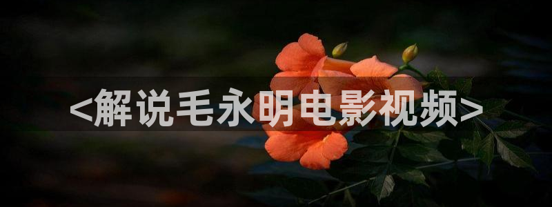 秋霞www：<解说毛永明电影视频>