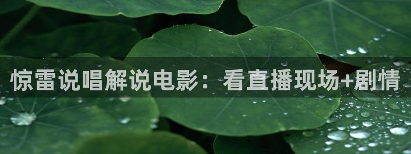 秋霞仑里片：惊雷说唱解说电影：看直播现场+剧情