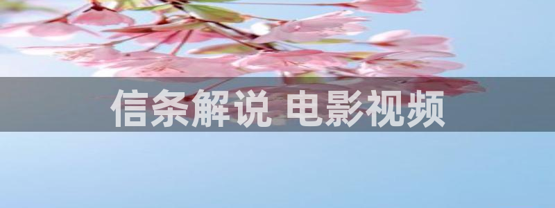 秋霞电影网看片资源：信条解说 电影视频
