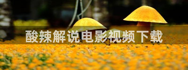 秋霞手机网站